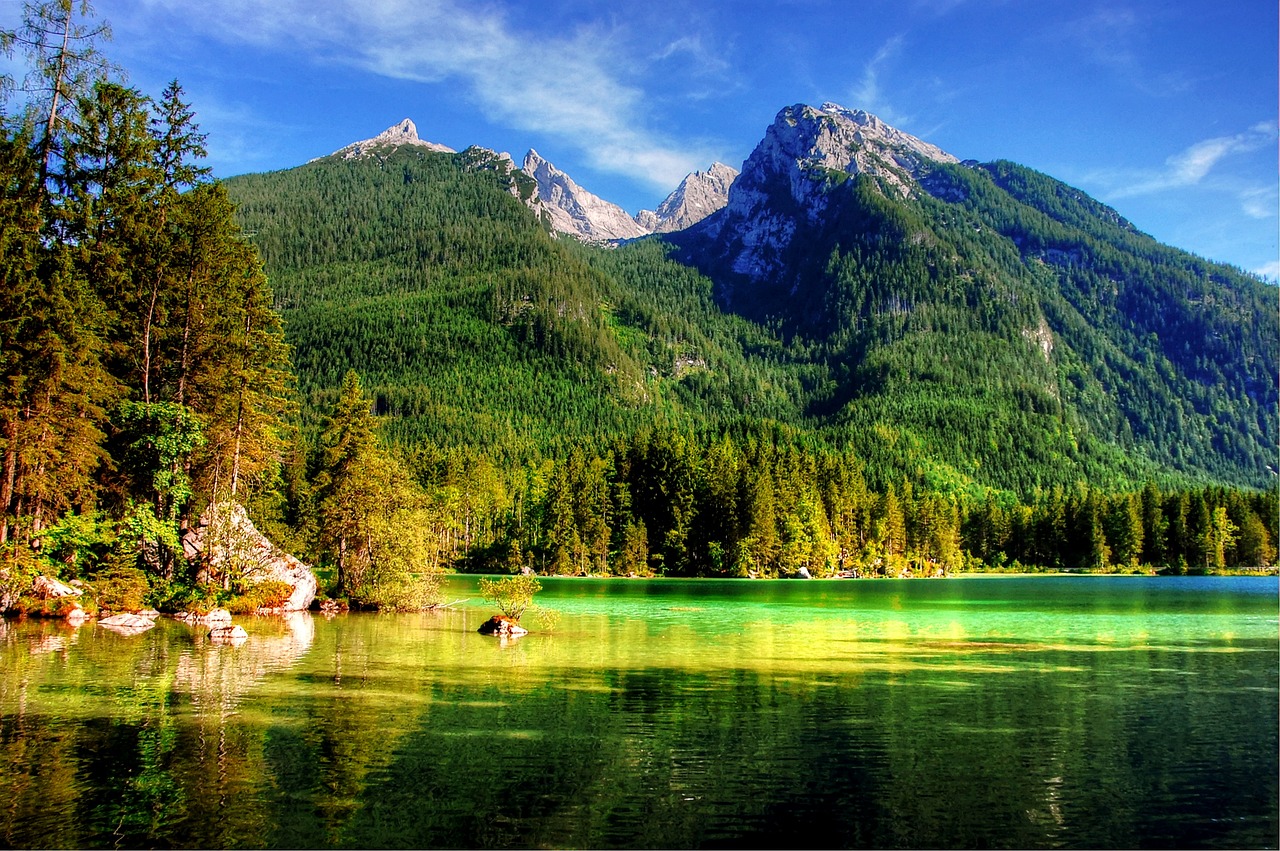 What Role Do National Parks Play in Conservation?
